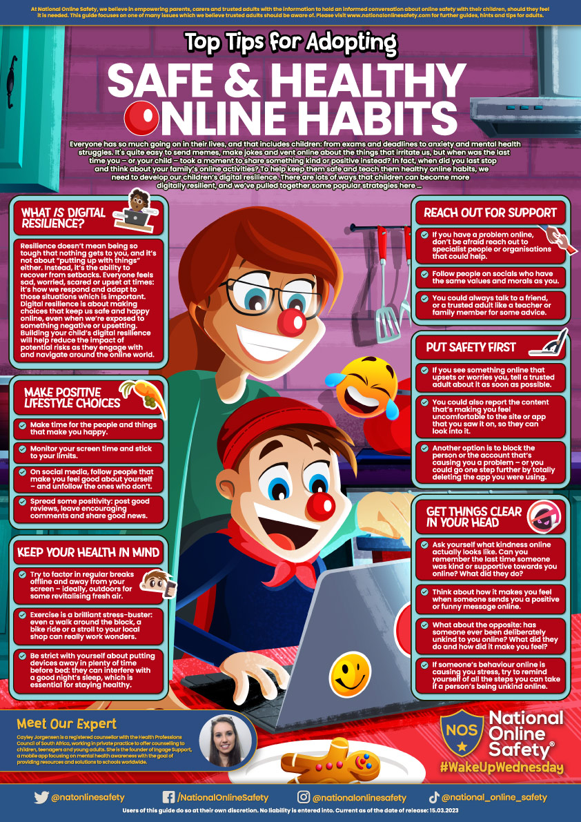 Safe Healthy Online Habits