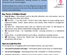 INCEL Culture Parent Guide